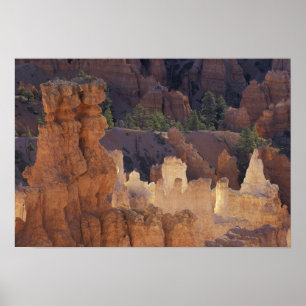 Poster Utah, Bryce Canyon National Park. Hoodoos,