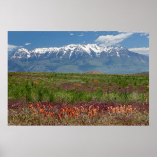 Poster Utah, États-Unis. Le mont Timpanogos s'élève au-de