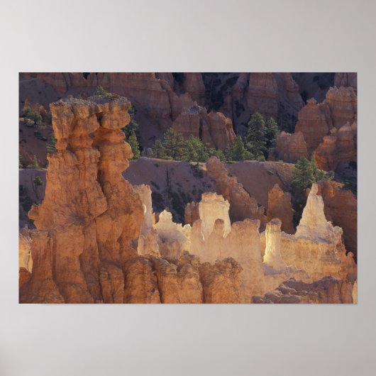 Poster Utah, Parc national du canyon de Bryce. Hoodoos, (Devant)