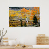 Poster Utah, USA. Arbres D'Aspen Et Épais De Saule (Cuisine)