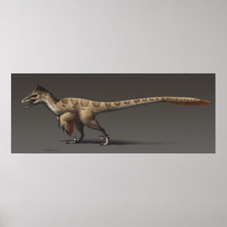 Poster Utahraptor