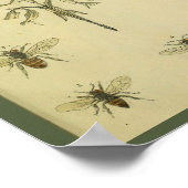 Poster Uterus Abdomen Arteries abeilles Anatomie Art Impr (Coin)