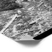 Poster Utilisation de tous les moyens disponibles (Coin)