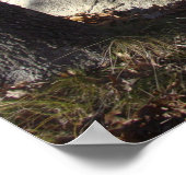 Poster Utilisez votre tête Babson Boulder (Coin)