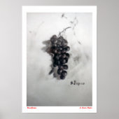 Poster Uvas/raisins (Devant)