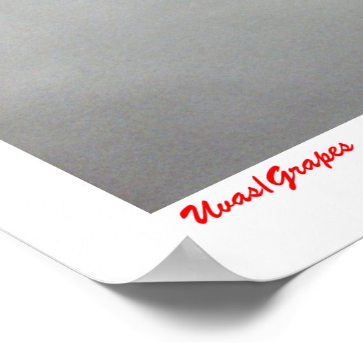 Poster Uvas/raisins (Coin)