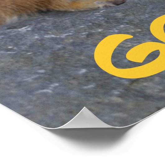 Poster Va te faire foutre ! (Coin)