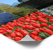 Poster Vacances en Hollande (Coin)