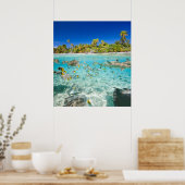 Poster Vacances exotiques (Cuisine)