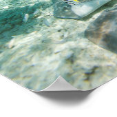Poster Vacances exotiques (Coin)