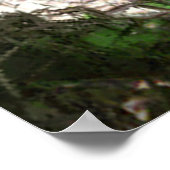 Poster Vacation tropicale (Coin)