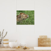 POSTER VACHE (Cuisine)