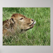 POSTER VACHE (Devant)