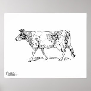 Poster Vache à Guernesey