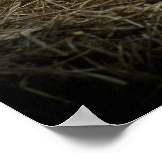 Poster Vache à la crème orange (Coin)