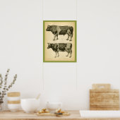 Poster Vache Anatomie vétérinaire Vintage Imprimer (Cuisine)