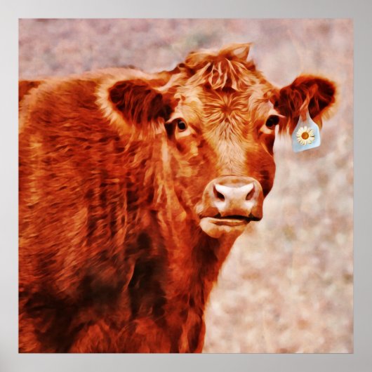 Poster Vache Angus rouge avec marguerite ID Imprimer l'ar (Devant)