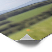 Poster Vache avec lunettes de soleil (Coin)