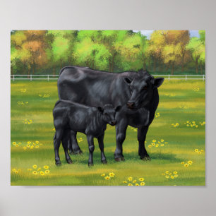 Poster Vache Black Angus et veau mignon dans les pâturage