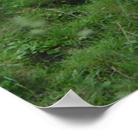 Poster Vache Bleue (Coin)