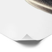 Poster Vache branchée en lunettes de soleil (Coin)