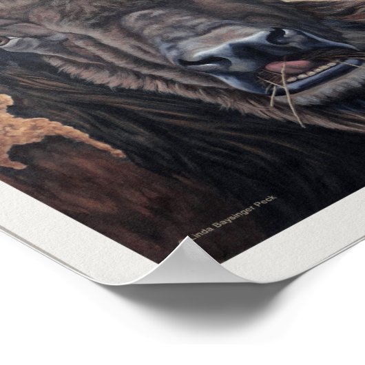 Poster Vache de bison bison mangeant Tan (Coin)