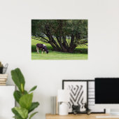 Poster Vache de campagne (Bureau à domicile)