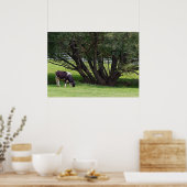 Poster Vache de campagne (Cuisine)