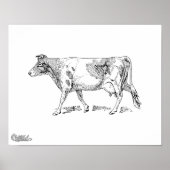Poster Vache de Guernesey (Devant)