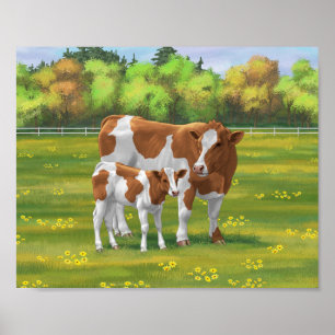 Poster Vache de Guernesey et veau mignon dans les pâturag