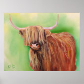 Poster Vache de Highland (Devant)