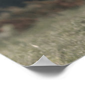 Poster Vache de Highland calvaire herbe d'automne monogra (Coin)