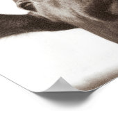 Poster Vache de Nosey (Coin)