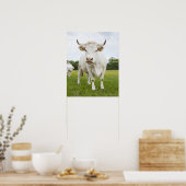Poster Vache debout dans un champ herbeux (Cuisine)