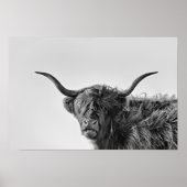 Poster Vache des hautes terres robuste en monochrome (Devant)