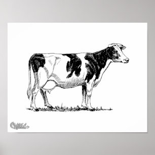 Poster Vache du Holstein