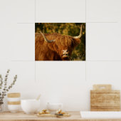 Poster Vache écossaise des Highlands (Cuisine)
