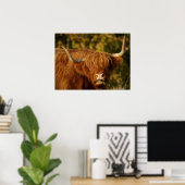 Poster Vache écossaise des Highlands (Bureau à domicile)