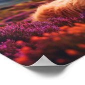 Poster Vache écossaise des Highlands (Coin)