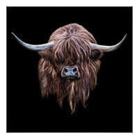 Vache écossaise des Highlands en couleur