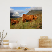 Poster Vache écossaise des Highlands en Écosse, Highlande (Cuisine)