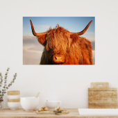 Poster Vache écossaise des Highlands en Écosse, Highlande (Cuisine)