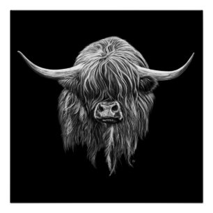 Poster Vache Écossaise Highland En Noir Et Blanc