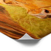 Poster Vache Highland, Pâtes d'huile (Coin)