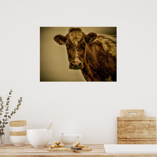 Poster Vache hollandaise (Cuisine)