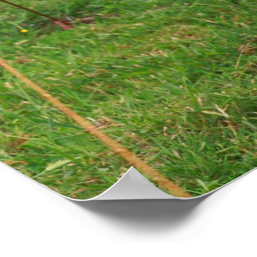 Poster Vache Holstein (Coin)