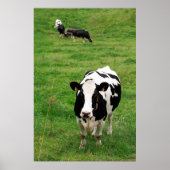 Poster Vache Holstein (Devant)