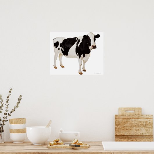 Poster Vache Holstein (Bos taurus) (Cuisine)