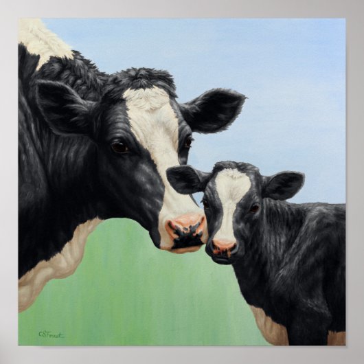 Poster Vache Holstein noire & veau mignon (Devant)