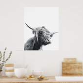 Poster Vache Majestic Highland noir et blanc (Cuisine)